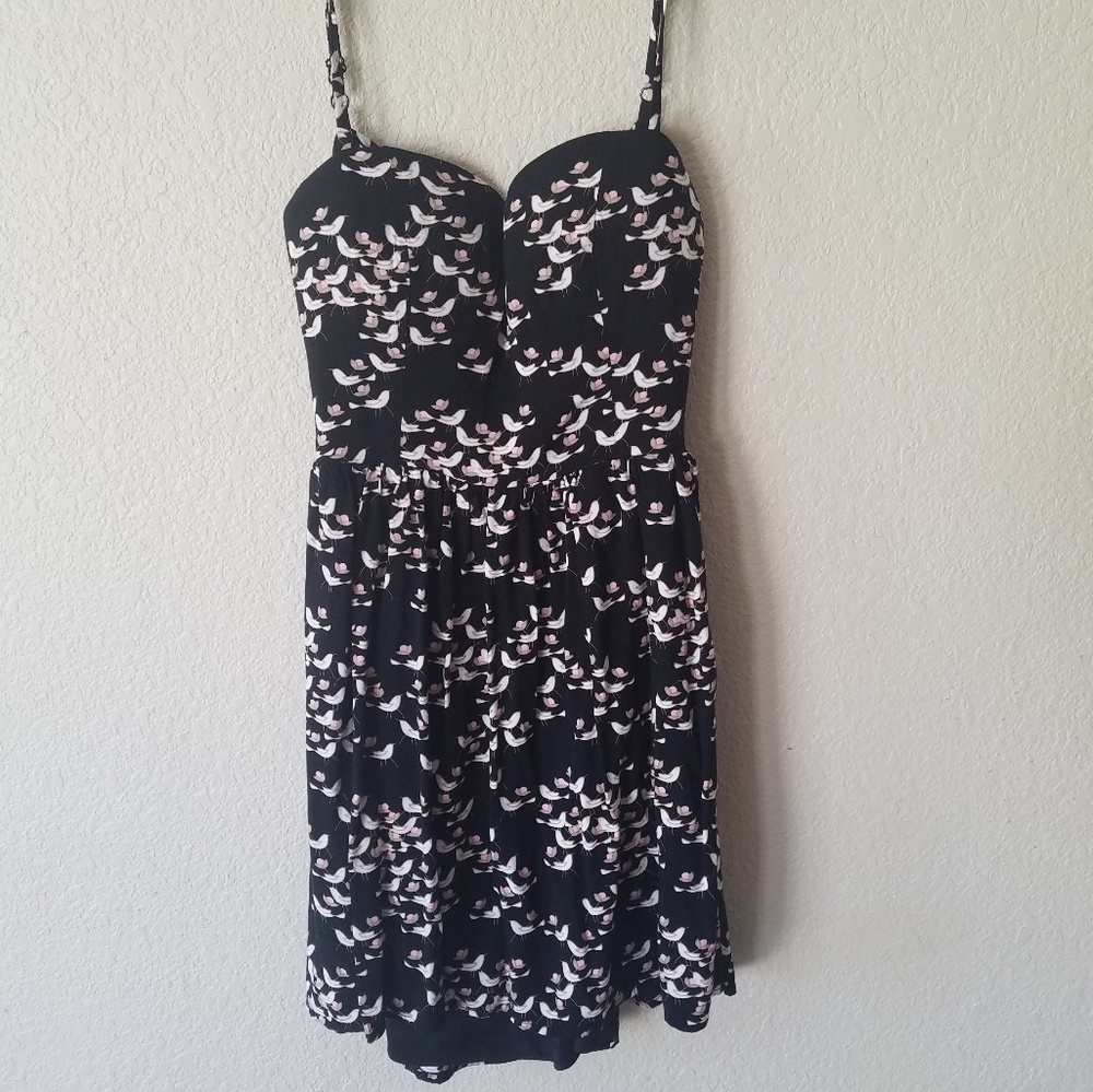 Charlotte Russe Dress